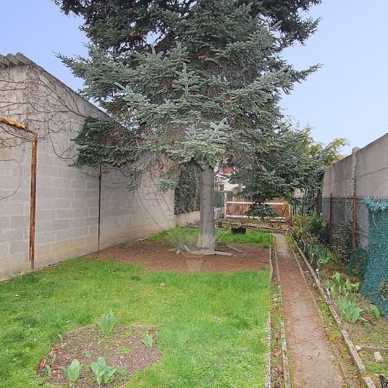 1b51abb0-12d5-4126-964e-805fc06a8f4a