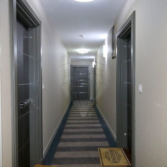 488a2770-cc18-4b26-a326-9fac134a7d70