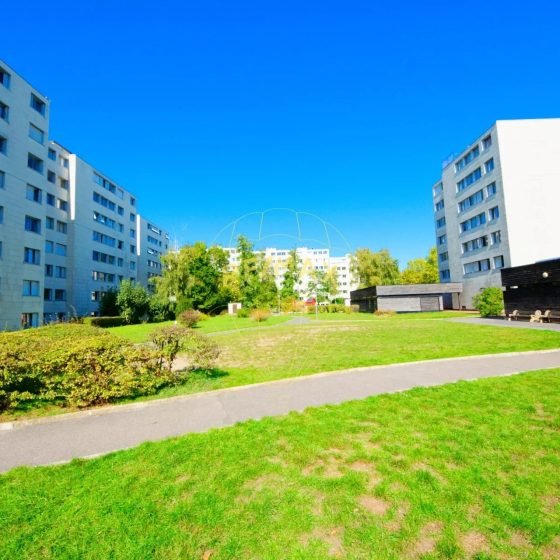 6c77e7734fb854ed9082e0460158a654_240e5376fd_1920-original