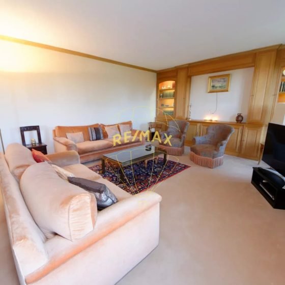 78582fd39689e942eef37b33d53f3e85_b35dc2eb80_1920-original