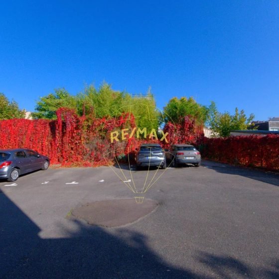 7bfbac7f4c5a99a477bd8d83bd7cf431_099a5d9ebf_1920-original