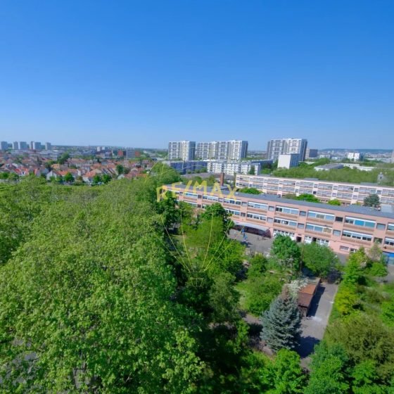 85ed7b31e6ec8dd2f68d155f20488498_244d3dfca9_1920-original