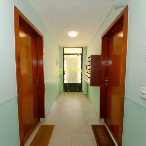 a379cc34505ab8532d728e0e45090c8b_dbfef69855_1920-original