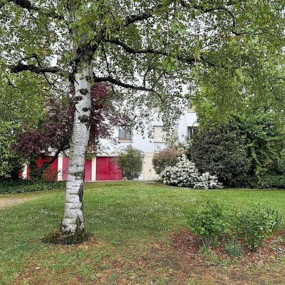 c106bc61-25ff-4dac-b171-fde508b13e41