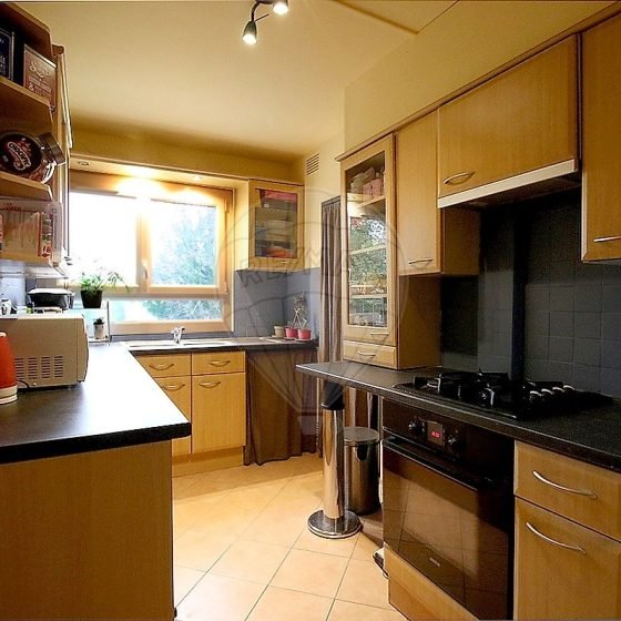 d7f39264-e54c-4852-b995-99778fc703d4