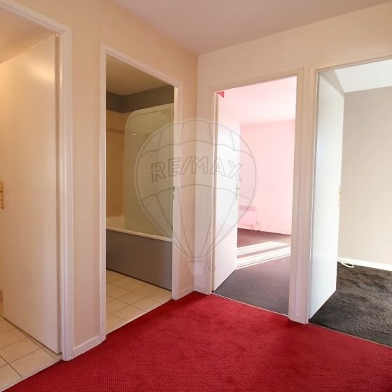 de317033-998a-43ff-9631-111fe04457e5