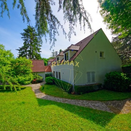 ec5d81219dbd11ec05a6f72bd47738dc_bce6cdb776_1920-original