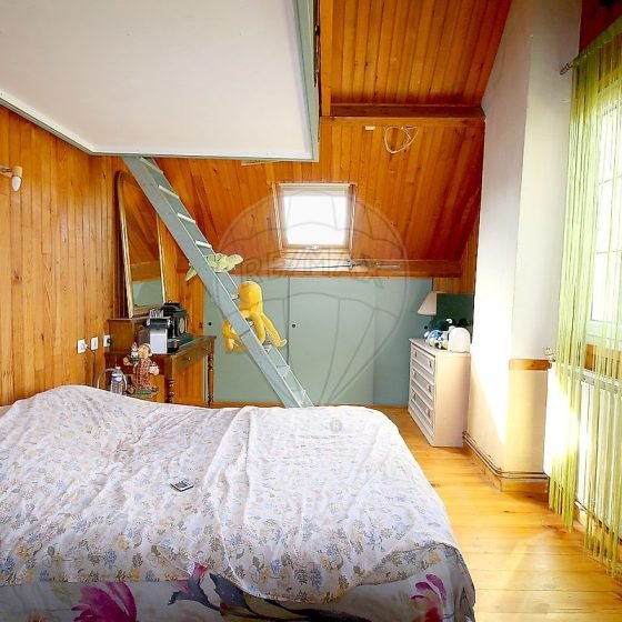 f351a3f3-ccc3-4925-80db-e03df994083a